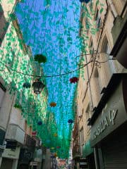 small photos on the bottom