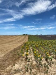 small photos on the bottom