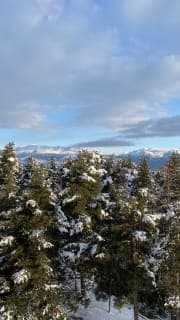 small photos on the bottom