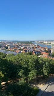 small photos on the bottom