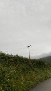 small photos on the bottom