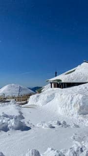 small photos on the bottom