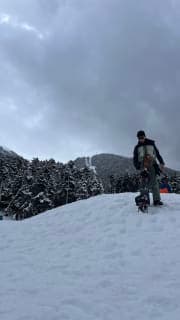 small photos on the bottom