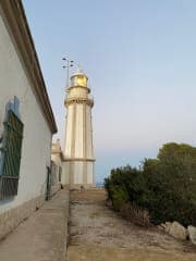 small photos on the bottom